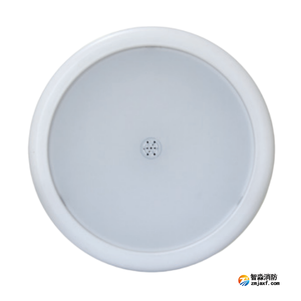 辽宁海湾HW-ZFJC-E18W-N655SG集电集控型消防应急照明灯具